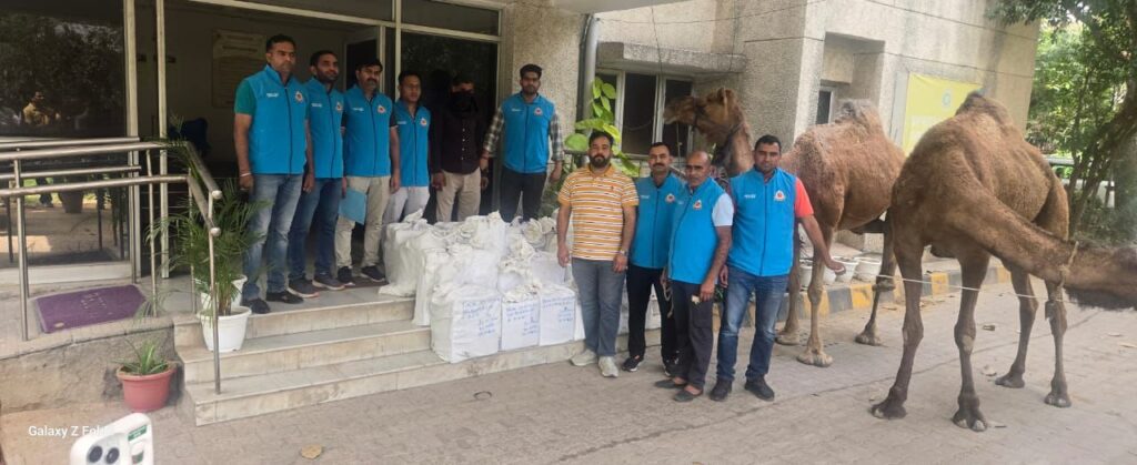 दिल्ली ब्रेकिंग: संगम विहार के जंगलों में ऊंटों से शराब तस्करी, साउथ जिला पुलिस ने किया चौंकाने वाला भंडाफोड़