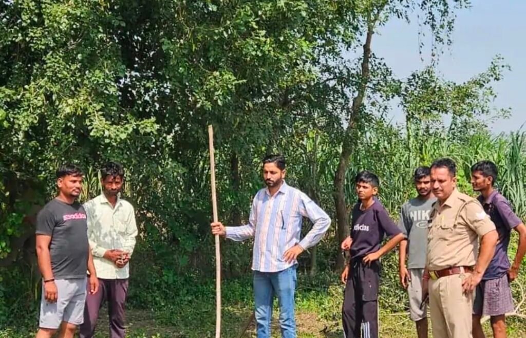 Hapur News : हापुड़ के अक्खापुर जंगल में पेड़ पर लटका मिला नीलगाय के बच्चे का शव, तेंदुए की दहशत